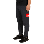 Load image into Gallery viewer, TSM DTG Unisex Joggers
