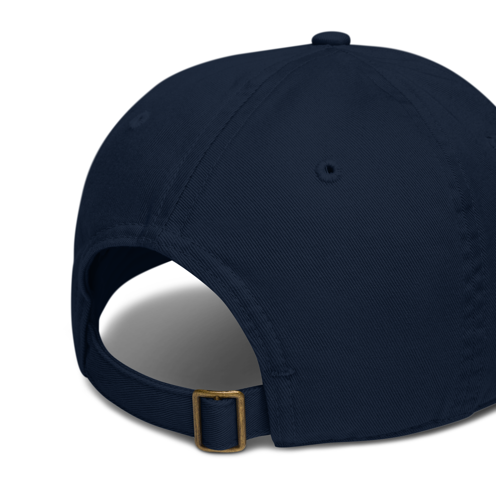 HEC MSIE Organic Baseball Hat