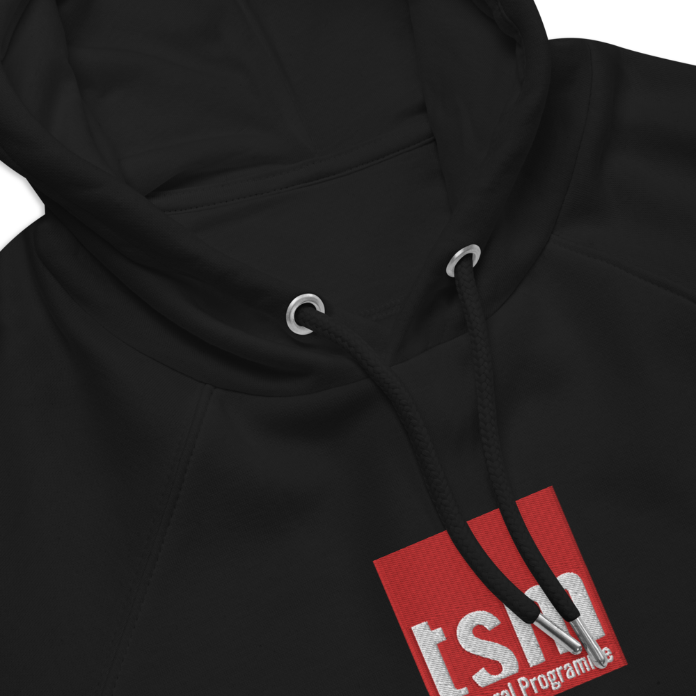 Customizable TSM Year Unisex Eco Raglan hoodie